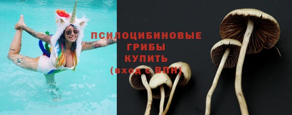 мескалин Кулебаки