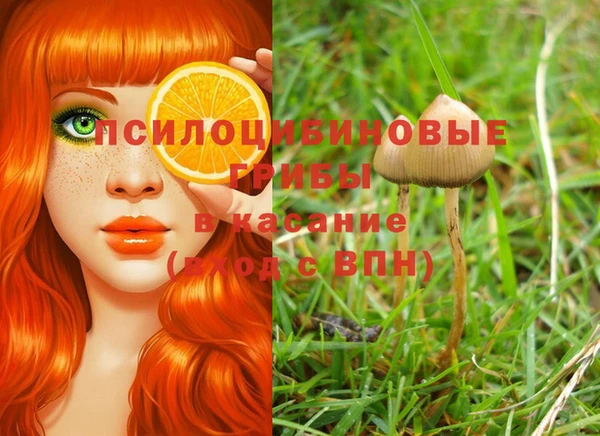 трава Кукмор