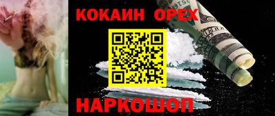 apvp Гатчина