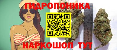 ГАЛЛЮЦИНОГЕННЫЕ ГРИБЫ Заводоуковск