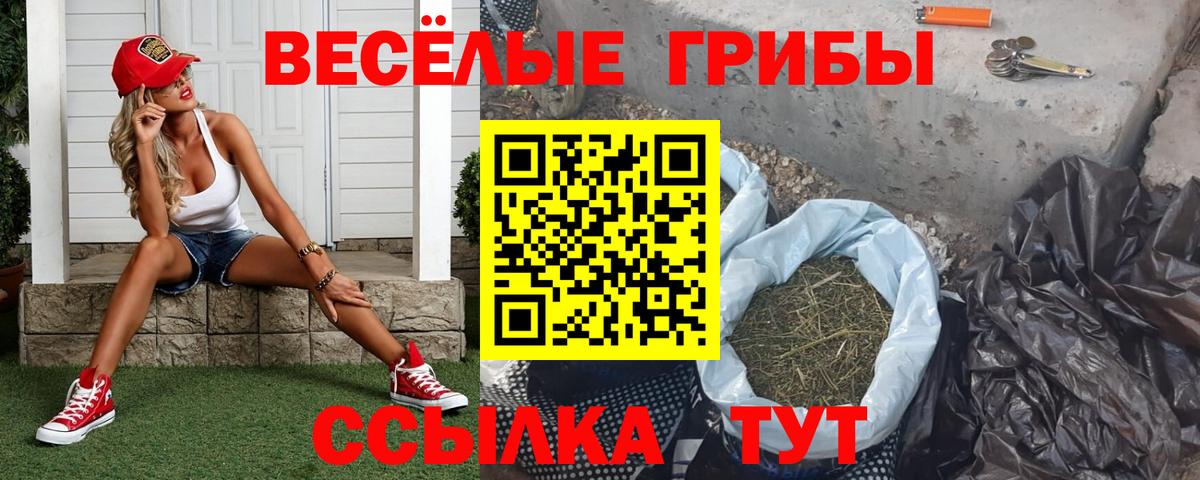 Псилоцибиновые грибы Cubensis Керчь